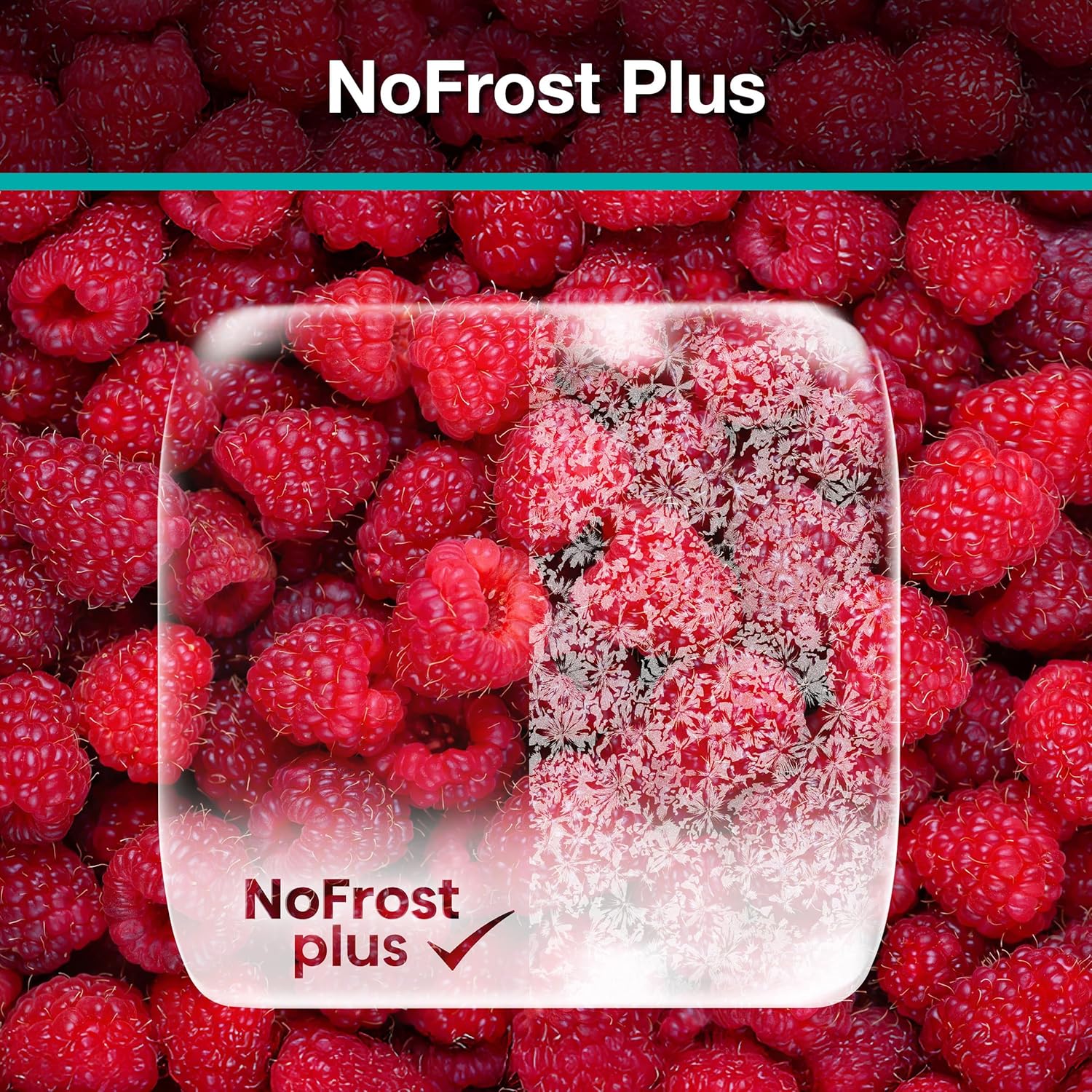 Gorenje Kühl-/ Gefrierkombination - NRK 619 CABXL 4 NoFrost Plus – Bild 8