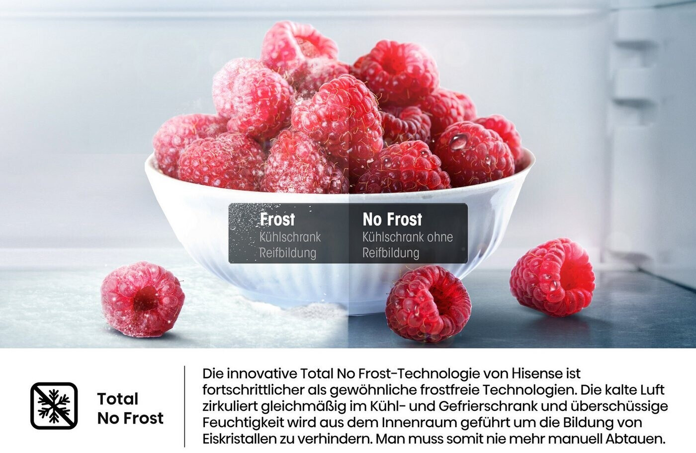 Hisense RB645N4BIB Kühl-Gefrierkombination – 70,4 cm breit, 495 Liter, Total No Frost, Energieklasse B, Inox- – Bild 13